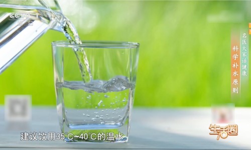 吃什么补肾气虚补药-吃什么食物可以补肾气虚网 - 为你提供吃什么食物补肾、吃什么食物可以补肾气虚女性